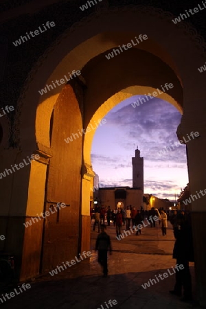 The blue Gate at the Bab Bou Jeloud in the old City in the historical Town of Fes in Morocco in north Africa.