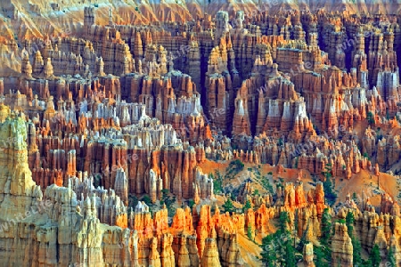 Felsformationen und Hoodoos, Bryce Canyon bei Sonnenaufgang, Bryce Point, Utah, Suedwesten, USA