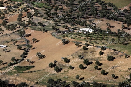 the Fields allround  the historical Town of Fes in Morocco in north Africa.