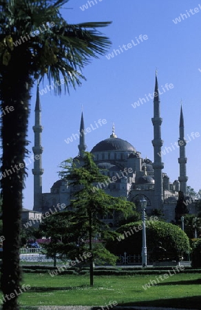 Die Blaue Moschee im Stadtteil Sulranahmet in Istanbul in der Tuerkey.