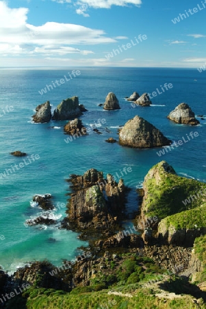 Nugget Point im Morgenlicht