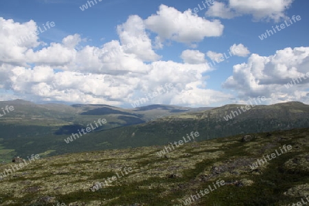 Dovrefjell-Sundalsfjella und Knutsh?