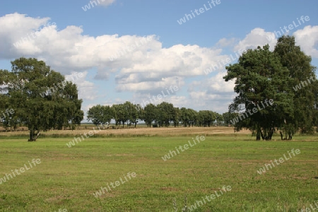 Kulturlandschaft im Spaetsommer