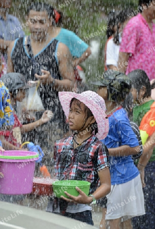 Das Songkran Fest oder Wasserfest zum Thailaendischen Neujahr ist im vollem Gange in Ayutthaya noerdlich von Bangkok in Thailand in Suedostasien.  