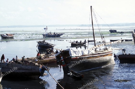 Die Altstadt von Stone Town  oder Zanzibar Town der Hauptstadt der Insel Sansibar im Indischen Ozean in Tansania in Ostafrika.. 