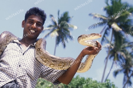 Asien, Indischer Ozean, Sri Lanka,
Ein Mann mit einer Schlangeam Strand des Kuestendorf Hikkaduwa an der Suedwestkueste von Sri Lanka. (URS FLUEELER)






