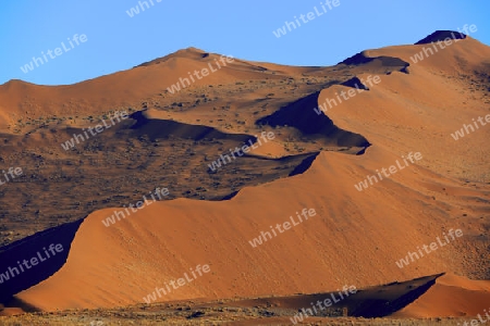 riesige Sandd?nen im ersten Morgenlicht,  Namib Naukluft Nationalpark, Sossusvlei, Namibia, Afrika