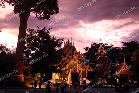 Die Architektur des Wat Chedi Luang Tempel in Chiang Mai im Norden von Thailand. 