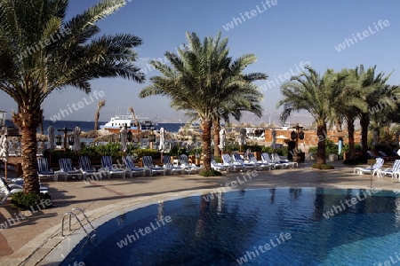 the coast with a Beach in the city of Aqaba on the red sea in Jordan in the middle east.