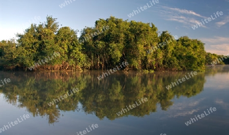 Pantanal