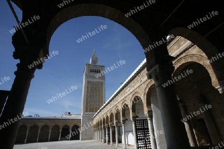 Der Innenhof der MoscheeZaytouna oder Grosse Moschee in der Altstadt oder Medina der Hauptstadt Tunis im Norden von Tunesien in Nordafrika am Mittelmeer. 