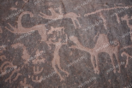 Pre Historic Paintings in a Rock in the Wadi Rum Desert in Jordan in the middle east.