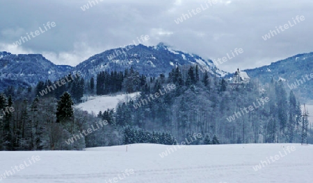 Winterlandschaft