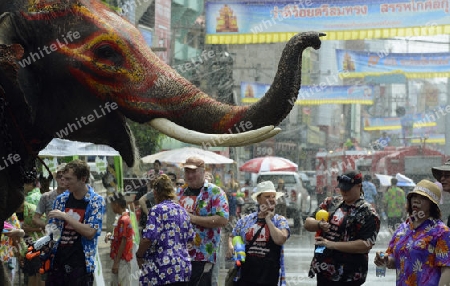 Das Songkran Fest oder Wasserfest zum Thailaendischen Neujahr ist im vollem Gange in Ayutthaya noerdlich von Bangkok in Thailand in Suedostasien.  