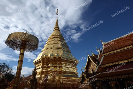 Der Chedi der Tempel Anlage des Wat Phra That Doi Suthep bei Chiang Mai in der Provinz Chiang Mai im Norden von Thailand in Suedostasien.