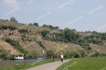 Neckar, Ludwigsburg