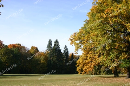 Neuer Garten in Potsdam