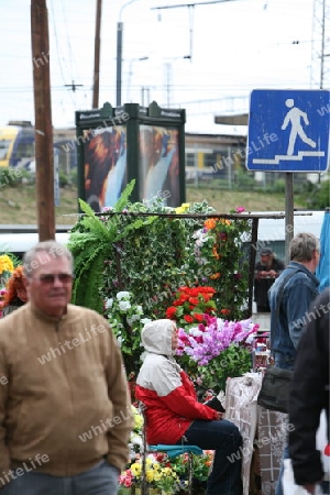 Der Zentralmarkt in den vier ehemaligen Zeppelinhallen im Stadtteil "klein Moskau" am rande der Altstadt von Riga der Hauptstadt von Lettland