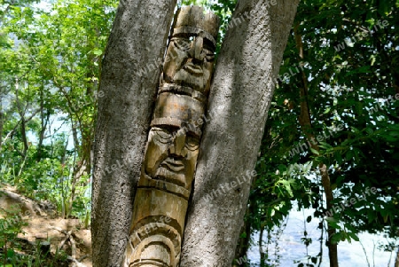 Wood carvin in Forest Hotel in the Town of Ko PhiPhi on Ko Phi Phi Island outside of  the City of Krabi on the Andaman Sea in the south of Thailand. 