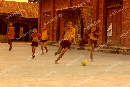 Young Monks Play Soccer in a Pagoda in the town of Nyaungshwe at the Inle Lake in the Shan State in the east of Myanmar in Southeastasia.