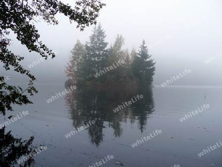 Insel im nebel