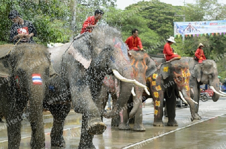 Das Songkran Fest oder Wasserfest zum Thailaendischen Neujahr ist im vollem Gange in Ayutthaya noerdlich von Bangkok in Thailand in Suedostasien.  