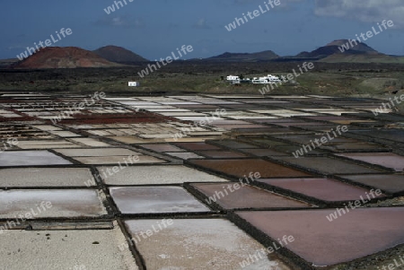 The Salinas in the Laguna of El Charco on the Island of Lanzarote on the Canary Islands of Spain in the Atlantic Ocean.