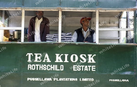 Ein Tee Kiosk in den Tee Plantagen von Nuwara Eliya im Zentrum von Sri Lanka in Asien.