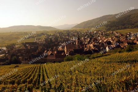 the olt town of the village of Riquewihr in the province of Alsace in France in Europe