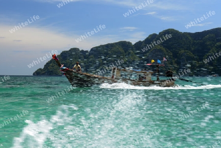 A Beach on the Island of Ko PhiPhi on Ko Phi Phi Island outside of the City of Krabi on the Andaman Sea in the south of Thailand. 