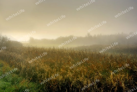 Herbst in K?rnten