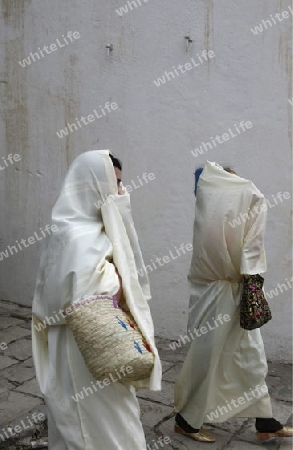 Afrika, Nordafrika, Tunesien, Tunis, Sidi Bou Said
Junge Frauen im traditionellen weissen Schleier in der Altstadt von Sidi Bou Said in der Daemmerung am Mittelmeer und noerdlich der Tunesischen Hauptstadt Tunis. 






