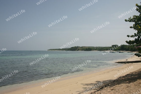 Karibischer Strand in der Dominikanischen Republik