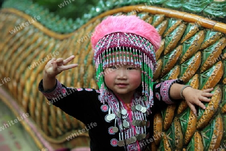 Traditionelle Taenzerinnen tanzen beim Wat Phra That Doi Suthep Tempel in Chiang Mai im Norden von Thailand.