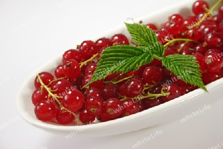 Rote Beeren