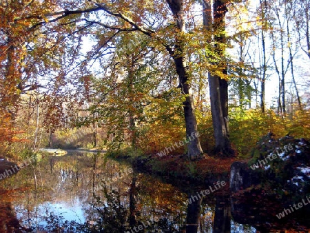 Au in Englischer Garten