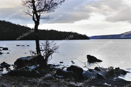 Am Loch Lomond