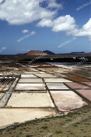 The Salinas in the Laguna of El Charco on the Island of Lanzarote on the Canary Islands of Spain in the Atlantic Ocean.