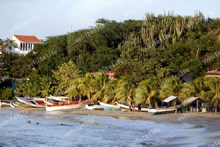 Suedamerika, Karibik, Venezuela, Isla Margarita, Pedro Gonzalez, Playa Pedro Gonzalez, Beach, Strand, Bucht, Fischerdorf, Fischerboot, Holzboot, Palmen, Ferien, Traumstrand, Idylle, Landschaft