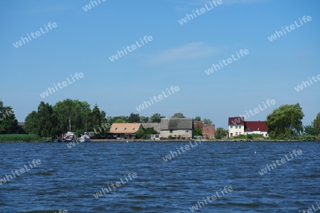 Peenestrom Landschaft  vor Anklamer Fähre