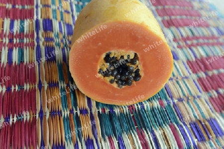 Eine Papaya in der Provinz Amnat Charoen nordwestlich von Ubon Ratchathani im nordosten von Thailand in Suedostasien.