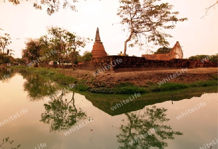 Der Wat Chetharam Tempel in der Tempelstadt Ayutthaya noerdlich von Bangkok in Thailand.