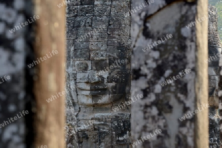 Stone Faces the Tempel Ruin of Angkor Thom in the Temple City of Angkor near the City of Siem Riep in the west of Cambodia.