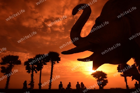 Der Aussichtspunkt Kap Promthep bei der Rawai Beach im sueden der Insel Phuket im sueden von Thailand in Suedostasien.