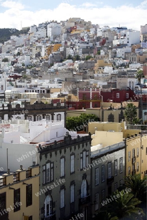 the view from the cathedral in the city Las Palmas on the Canary Island of Spain in the Atlantic ocean.