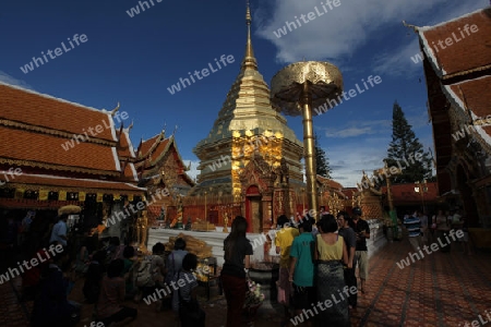 Der Chedi der Tempel Anlage des Wat Phra That Doi Suthep bei Chiang Mai in der Provinz Chiang Mai im Norden von Thailand in Suedostasien.