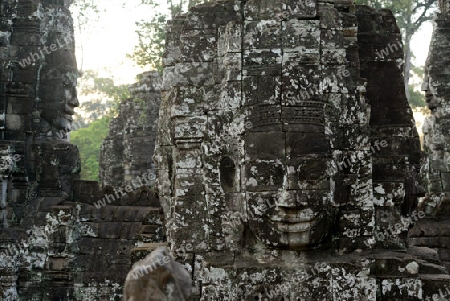 Stone Faces the Tempel Ruin of Angkor Thom in the Temple City of Angkor near the City of Siem Riep in the west of Cambodia.