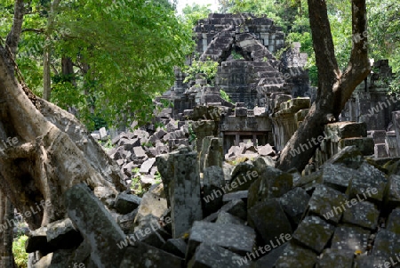 The Tempel Ruin of  Beng Mealea 32 Km north of in the Temple City of Angkor near the City of Siem Riep in the west of Cambodia.