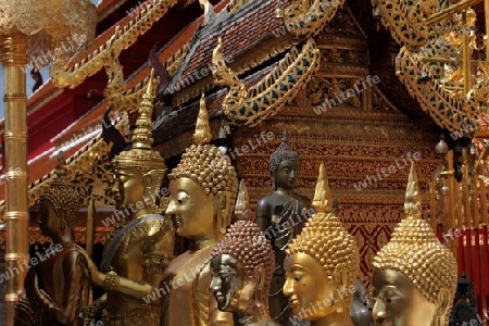 Die Architektur des Wat Phra That Doi Suthep Tempel in Chiang Mai im Norden von Thailand. 