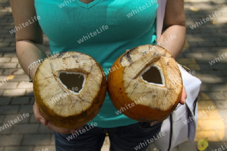 King Coconut - Erfrischungsgetr?nk in Sri Lanka